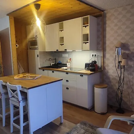 4-6 Couchages.pied Des Pistes.residence Montana1 *