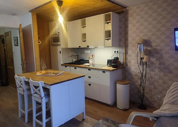 4-6 Couchages.pied Des Pistes.residence Montana1 *